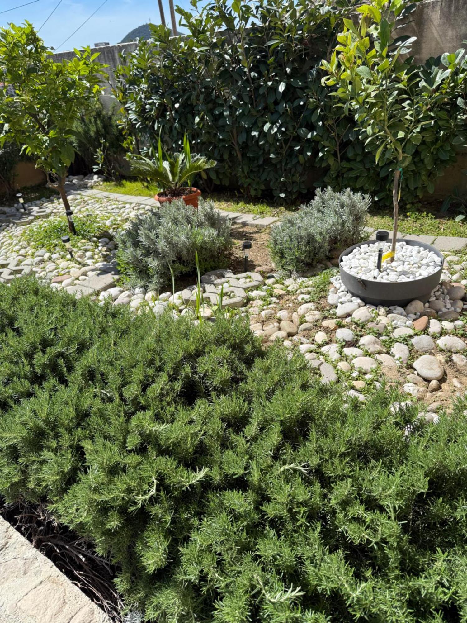 Lemon Tree Dubrovnik Apartments Екстериор снимка