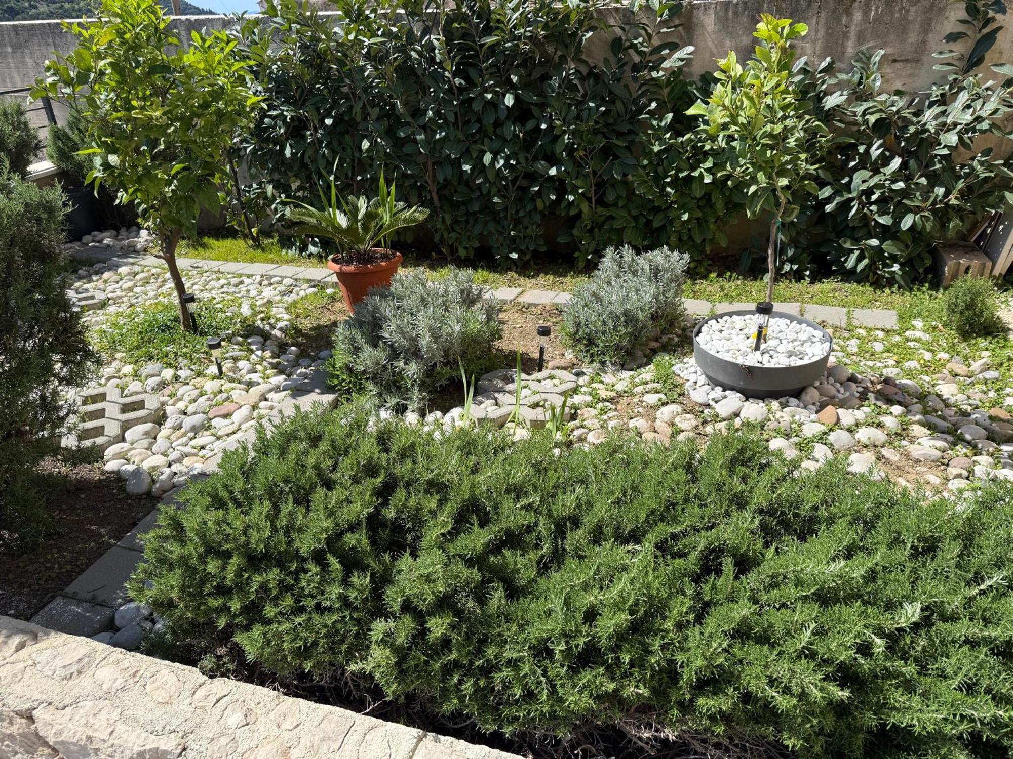 Lemon Tree Dubrovnik Apartments Екстериор снимка
