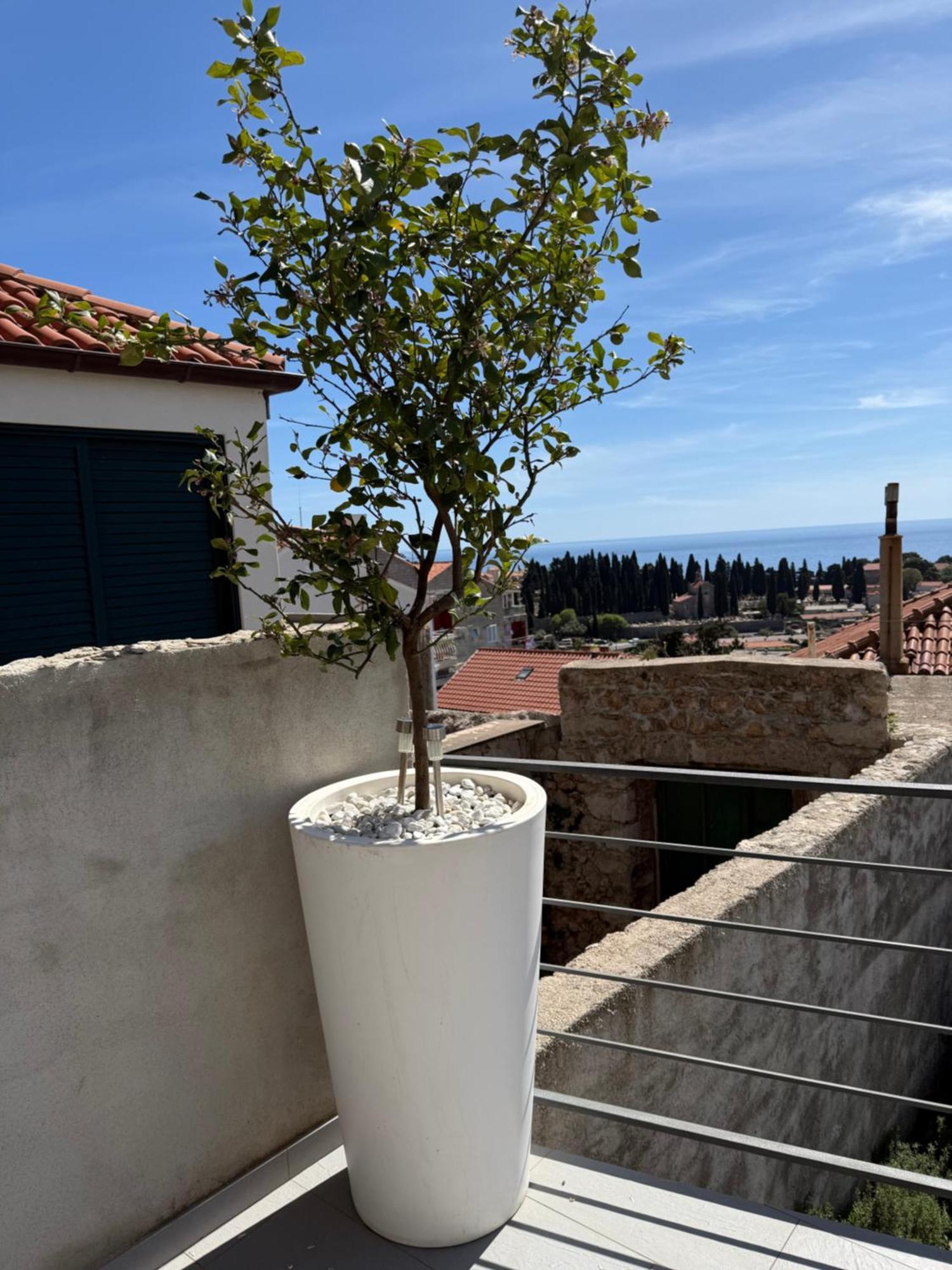 Lemon Tree Dubrovnik Apartments Екстериор снимка